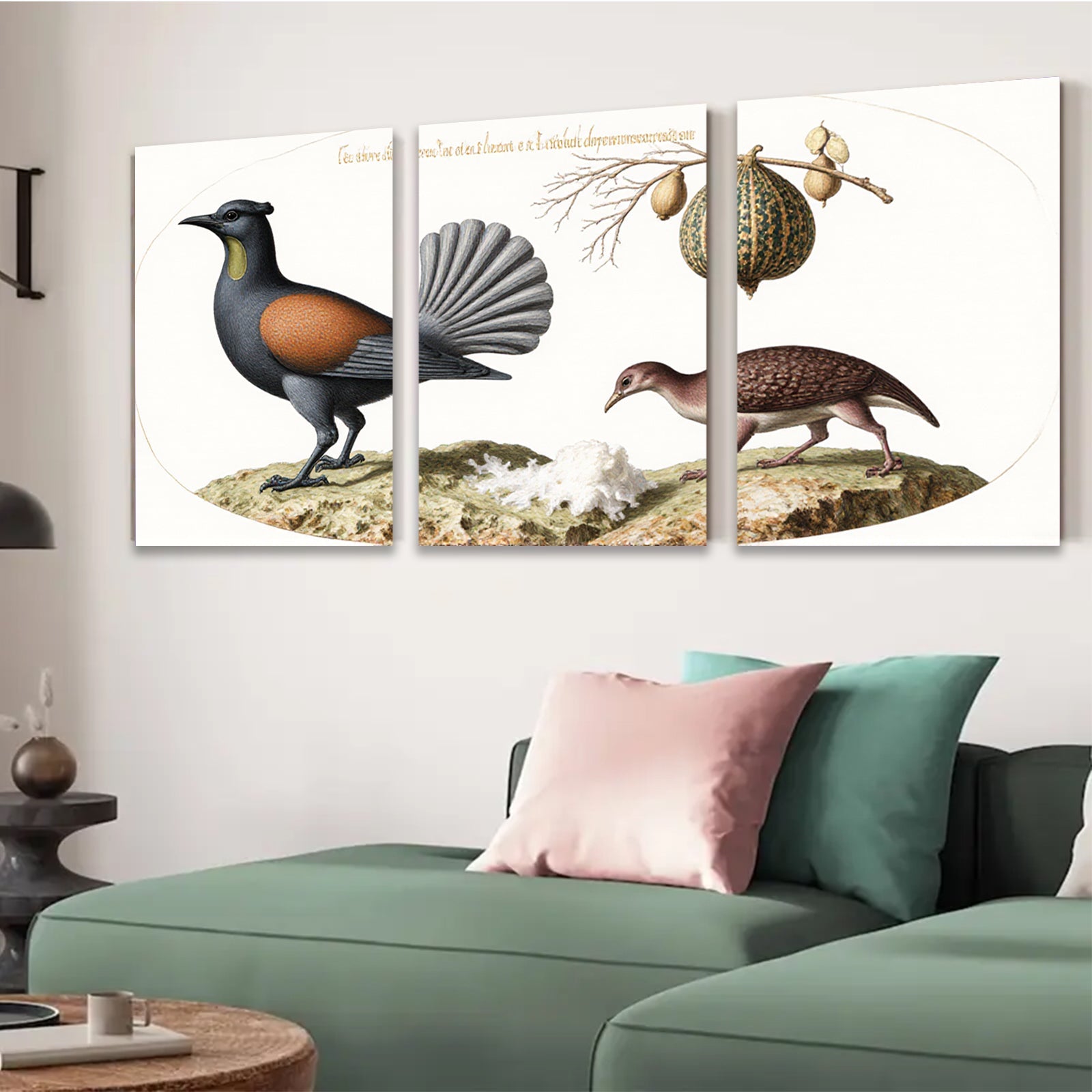 2D flat 1pc New Zealand native birds botanical wall art print farmhouse living room decor gallery wrapped canvas modern minimalist style