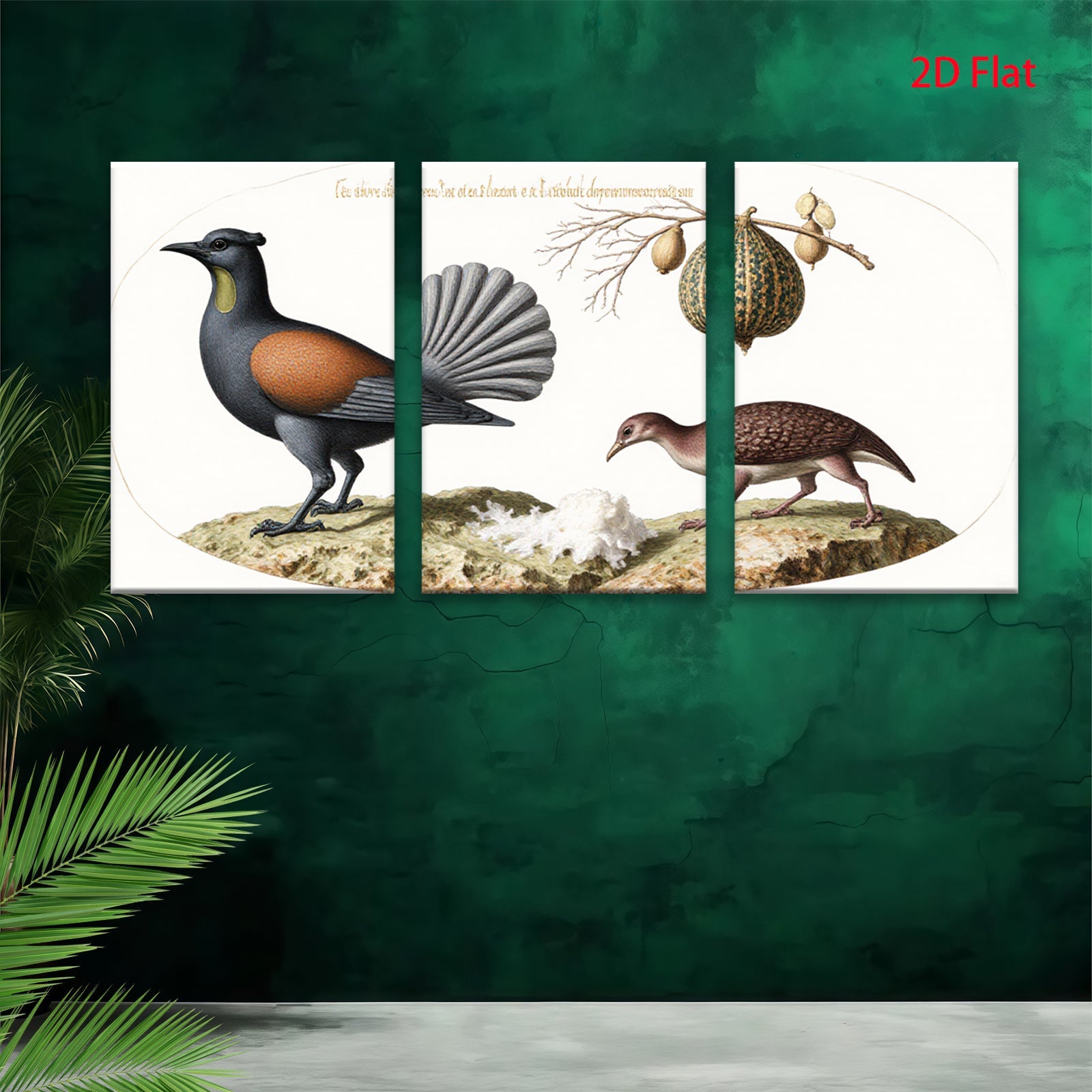 2D flat 1pc New Zealand native birds botanical wall art print farmhouse living room decor gallery wrapped canvas modern minimalist style