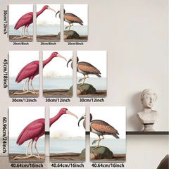 2D flat 1pc Roseate Spoonbill & American Bittern bird study wall art for living room bedroom gallery wrapped canvas print farmhouse decor