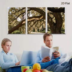 2D flat 1pc Spanish Moss Draped Oak Tree Southern Landscape wall art for living room bedroom farmhouse decor gallery wrapped canvas prints modern botanical art
