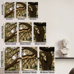 2D flat 1pc Spanish Moss Draped Oak Tree Southern Landscape wall art for living room bedroom farmhouse decor gallery wrapped canvas prints modern botanical art
