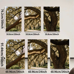 2D flat 1pc Spanish Moss Draped Oak Tree Southern Landscape wall art for living room bedroom farmhouse decor gallery wrapped canvas prints modern botanical art