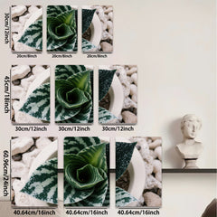 2D flat 1pc Succulent Bloom Botanical Wall Art Living Room Bedroom Decor Farmhouse Style Modern Minimalist Gallery Wrapped Canvas Prints Ready to Hang