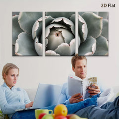 2D flat 1pc Succulent Bloom Close Up Botanical Wall Art Living Room Bedroom Decor Gallery Wrapped Canvas Prints Modern Farmhouse Style Coastal Chic Home Accents