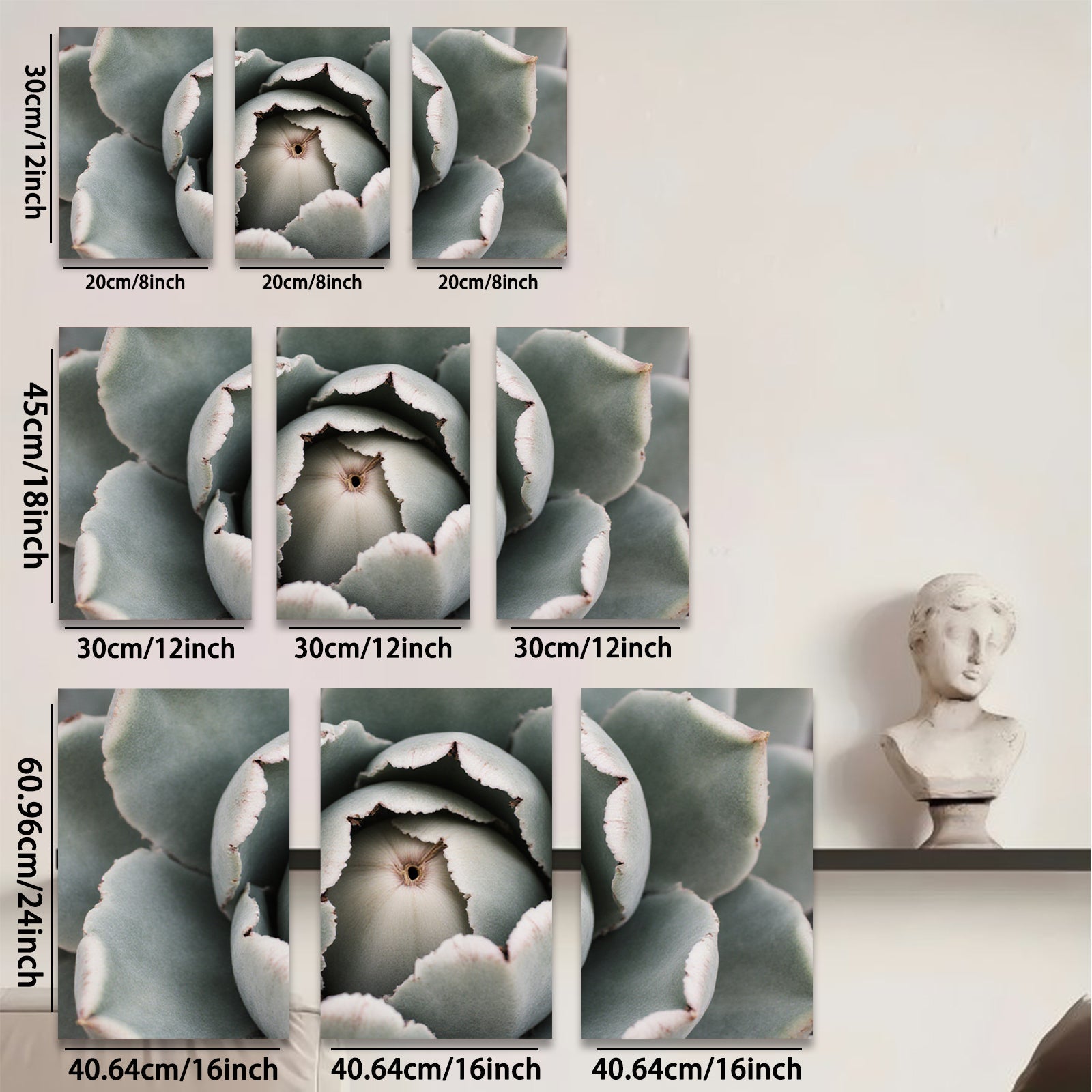 2D flat 1pc Succulent Bloom Close Up Botanical Wall Art Living Room Bedroom Decor Gallery Wrapped Canvas Prints Modern Farmhouse Style Coastal Chic Home Accents