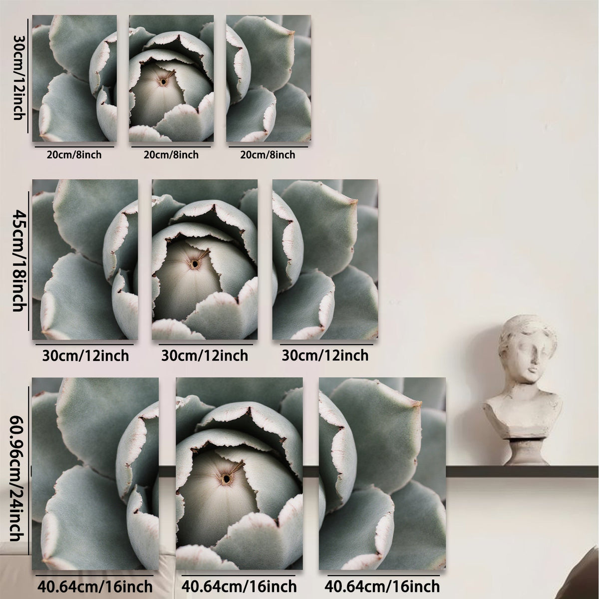 2D flat 1pc Succulent Bloom Close Up Botanical Wall Art Living Room Bedroom Decor Gallery Wrapped Canvas Prints Modern Farmhouse Style Coastal Chic Home Accents