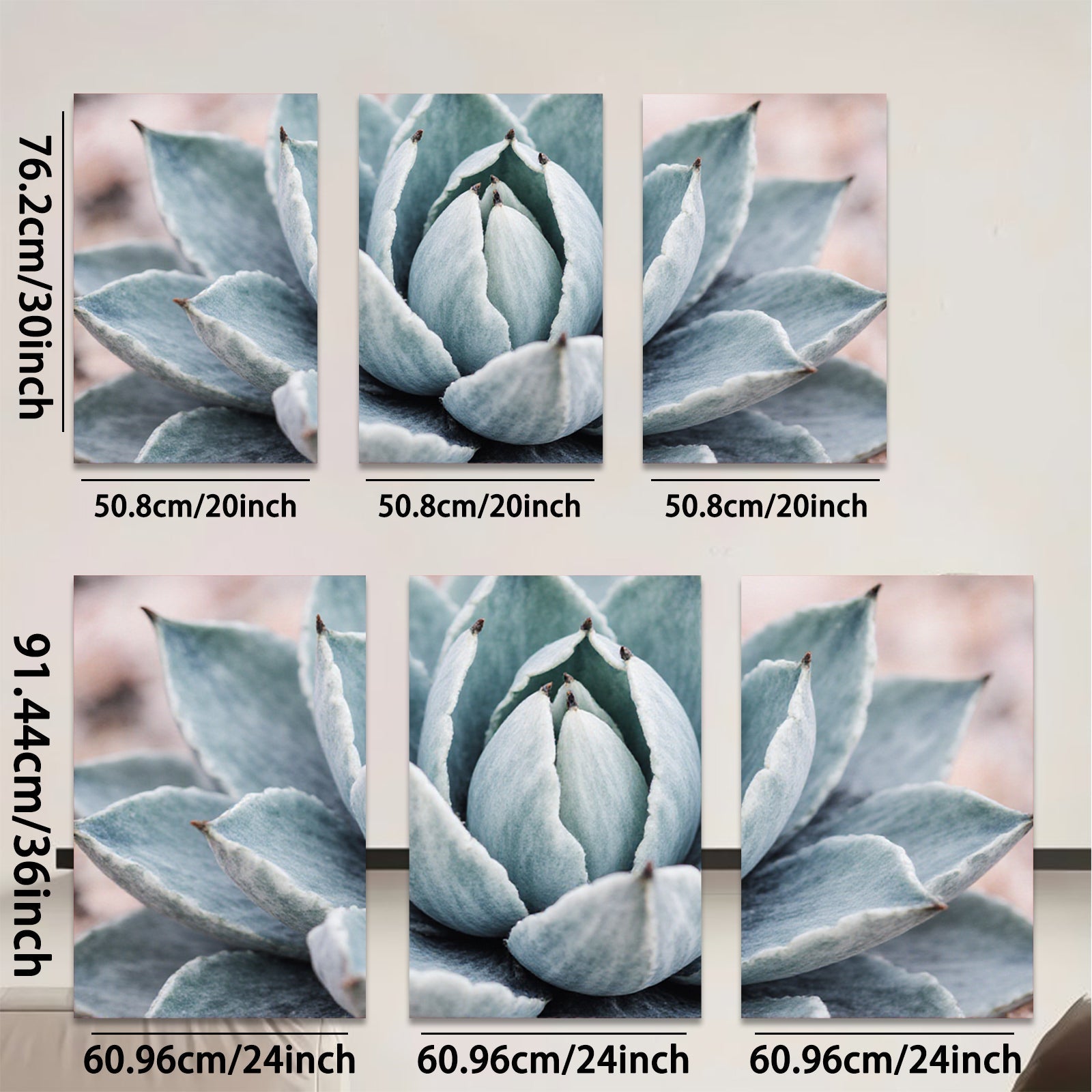 2D flat 1pc Succulent bloom desert botanical wall art living room bedroom decor farmhouse style modern minimalist gallery wrapped canvas print