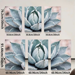 2D flat 1pc Succulent bloom desert botanical wall art living room bedroom decor farmhouse style modern minimalist gallery wrapped canvas print