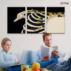 2D flat 1pc Whimsical Ribcage Floral Botanical Wall Art Decor Living Room Bedroom Gallery Wrapped Canvas Prints Modern Farmhouse Style Chic Home Accents
