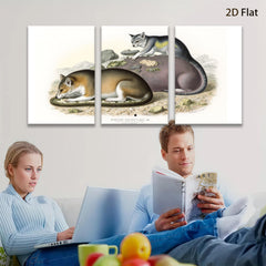 2D flat 1pc charming antique North American opossum wildlife portrait botanical wall art living room bedroom decor farmhouse style gallery wrapped canvas print