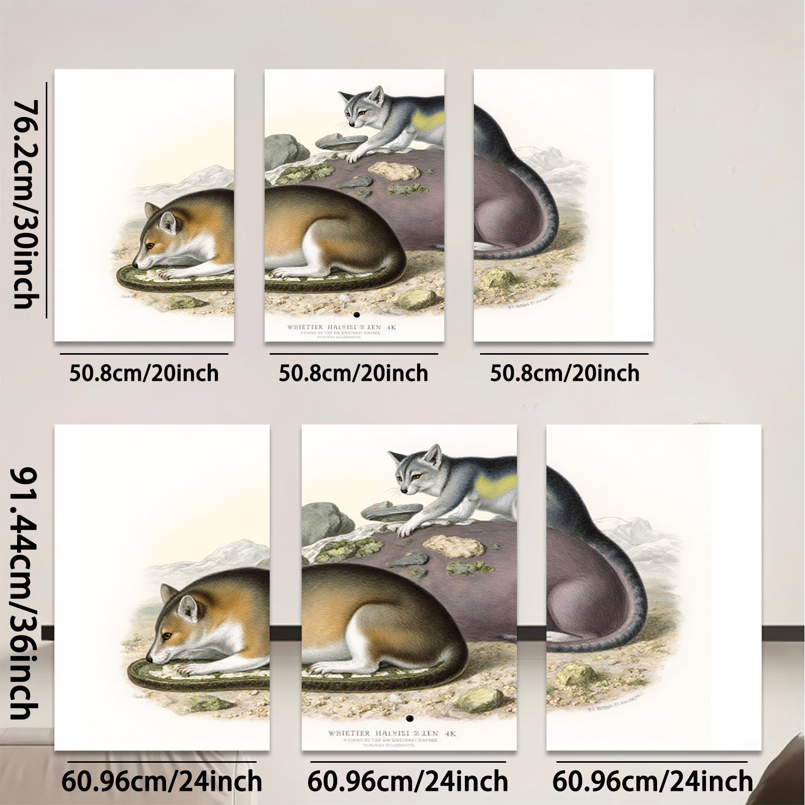 2D flat 1pc charming antique North American opossum wildlife portrait botanical wall art living room bedroom decor farmhouse style gallery wrapped canvas print