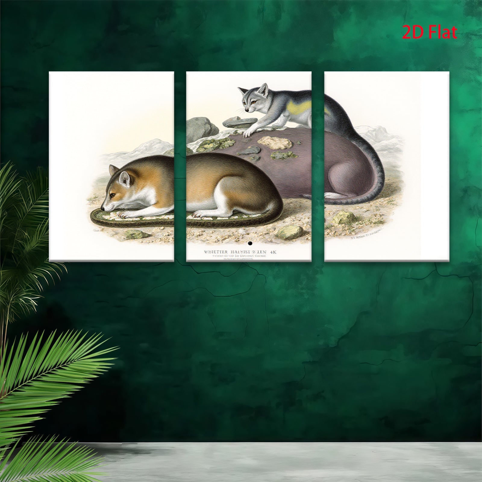 2D flat 1pc charming antique North American opossum wildlife portrait botanical wall art living room bedroom decor farmhouse style gallery wrapped canvas print