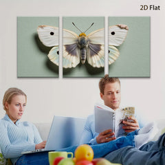 2D flat 1pc delicate butterfly wing study botanical wall art farmhouse decor living room bedroom gallery wrapped canvas print modern minimalist nature