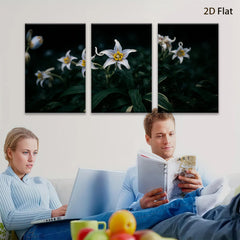 2D flat 1pc delicate white lilies bloom softly garden wall art living room bedroom decor farmhouse style botanical prints modern minimalist canvas paintings