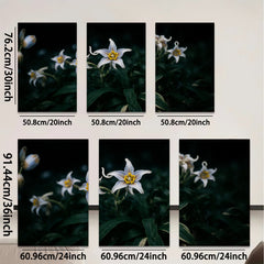 2D flat 1pc delicate white lilies bloom softly garden wall art living room bedroom decor farmhouse style botanical prints modern minimalist canvas paintings