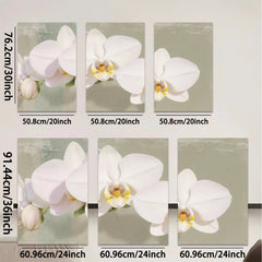 2D flat 1pc delicate white orchid blooms floral wall art living room bedroom home decor farmhouse style modern gallery wrapped canvas print