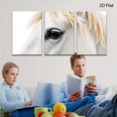 2D flat 1pc majestic white horse close up portrait farmhouse wall decor living room bedroom modern gallery wrapped canvas prints