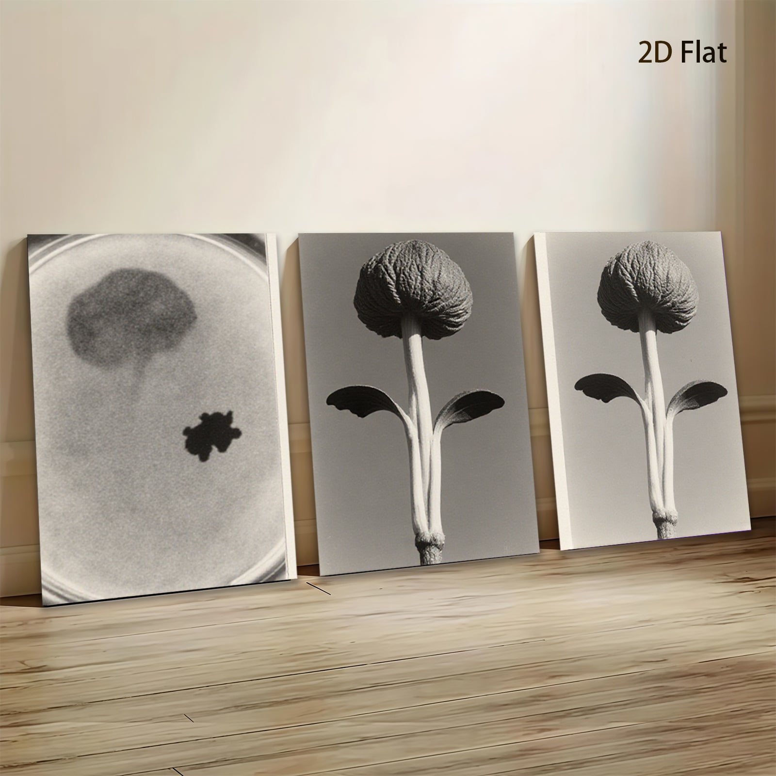 2D flat 1pc starts Botanical Study Seedling Growth Minimalist Wall Art Farmhouse Decor Living Room Bedroom Gallery Wrapped Canvas Prints Modern Aesthetic