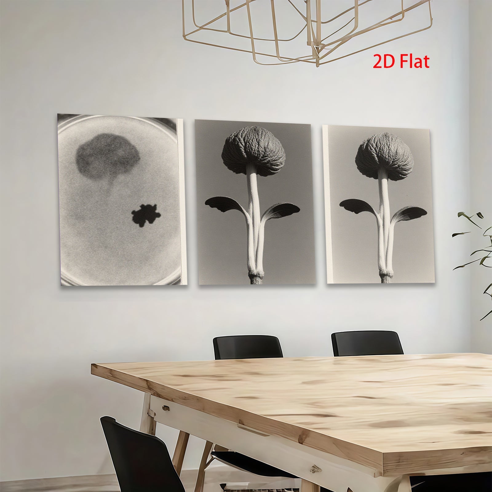 2D flat 1pc starts Botanical Study Seedling Growth Minimalist Wall Art Farmhouse Decor Living Room Bedroom Gallery Wrapped Canvas Prints Modern Aesthetic