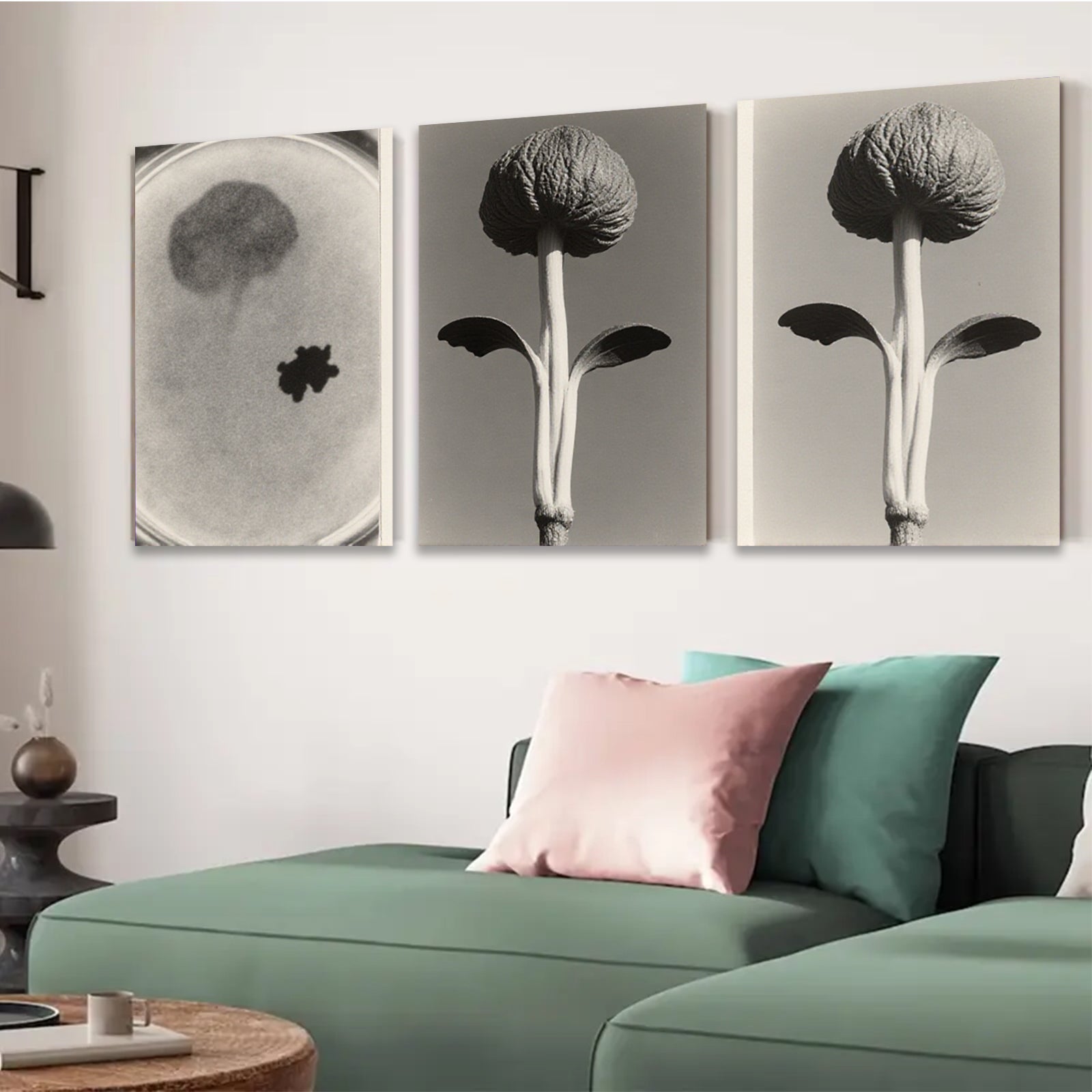 2D flat 1pc starts Botanical Study Seedling Growth Minimalist Wall Art Farmhouse Decor Living Room Bedroom Gallery Wrapped Canvas Prints Modern Aesthetic