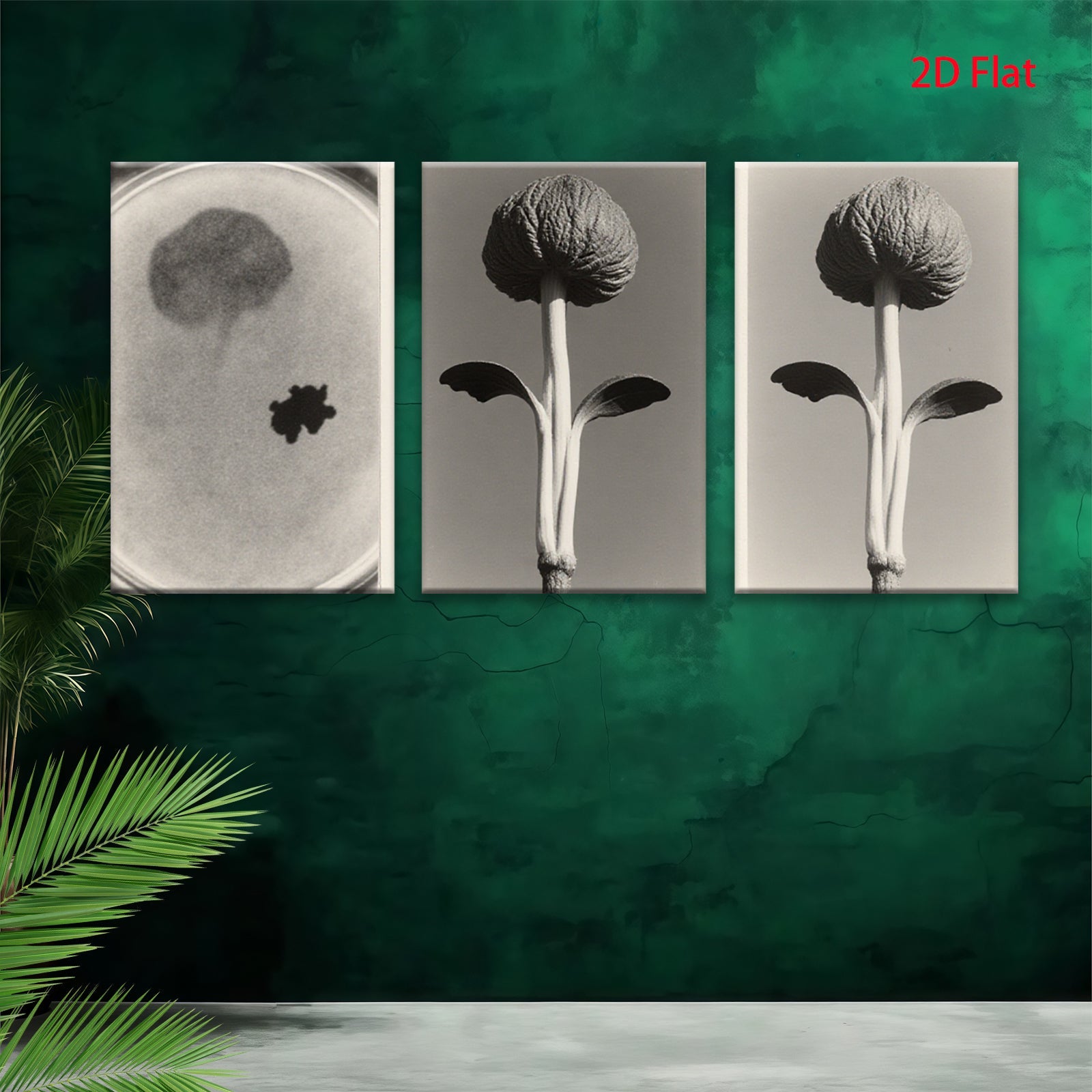 2D flat 1pc starts Botanical Study Seedling Growth Minimalist Wall Art Farmhouse Decor Living Room Bedroom Gallery Wrapped Canvas Prints Modern Aesthetic
