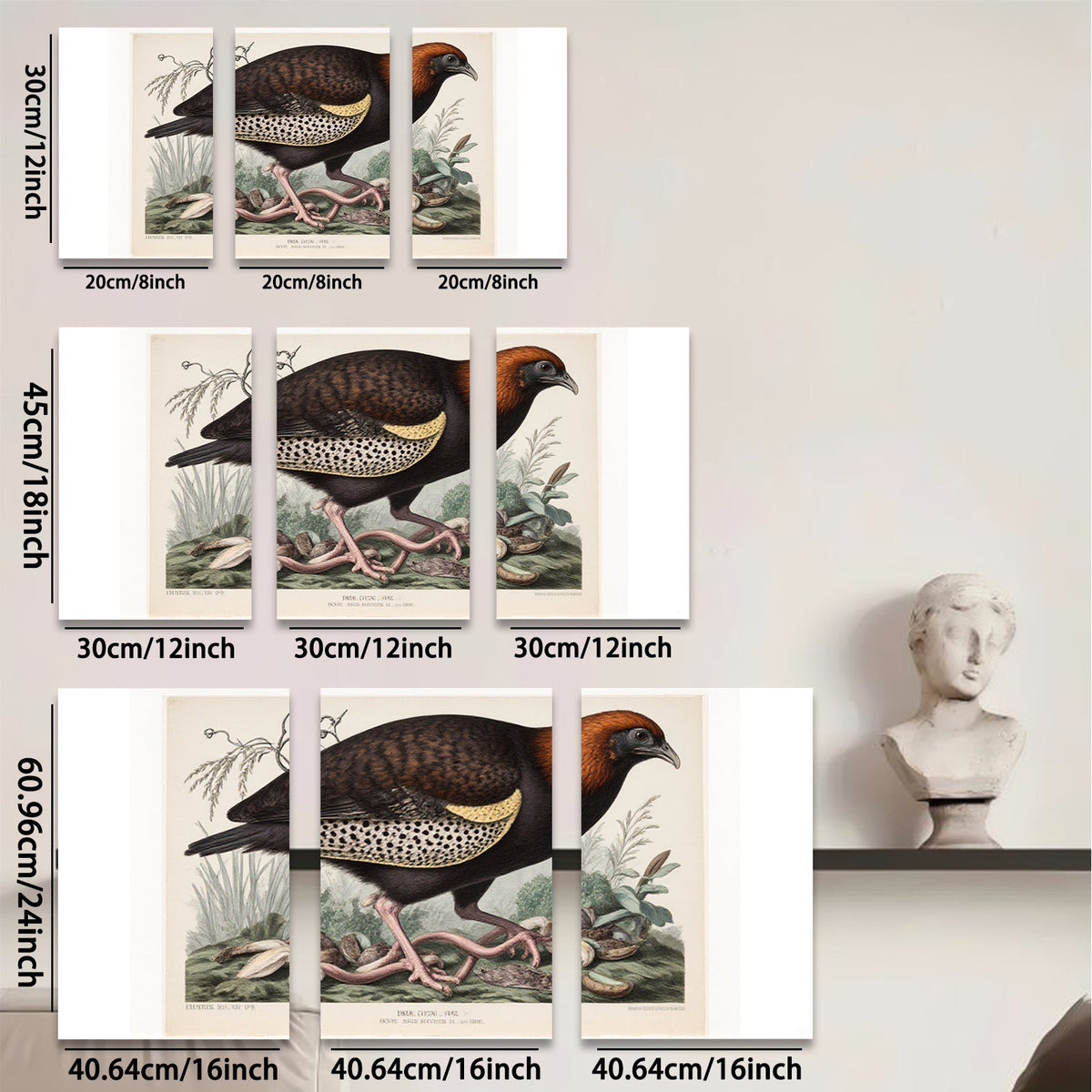 2D flat 1pc vibrant antique bird botanical wall art print farmhouse gallery wrapped canvas modern home decor living room bedroom