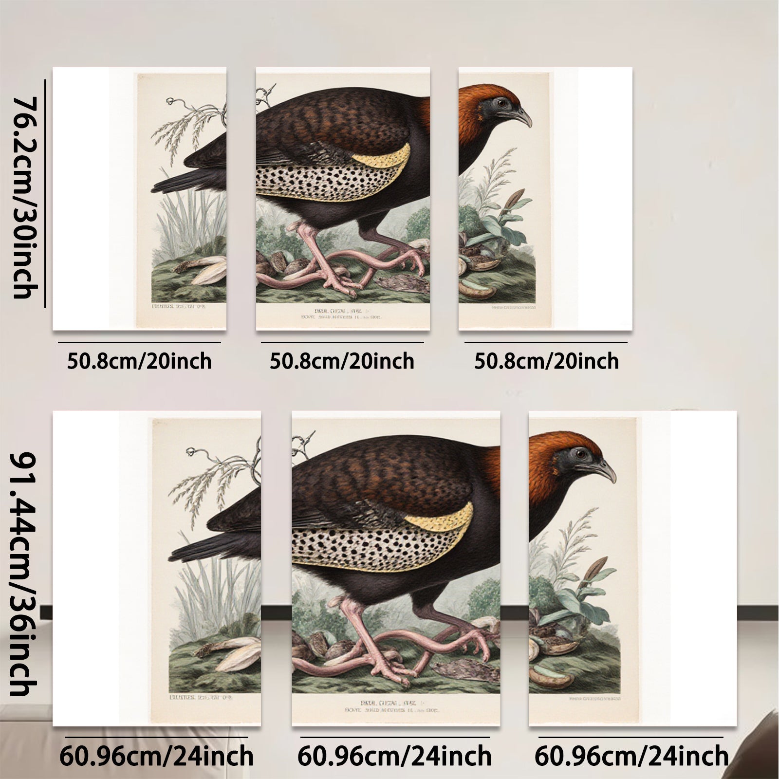 2D flat 1pc vibrant antique bird botanical wall art print farmhouse gallery wrapped canvas modern home decor living room bedroom