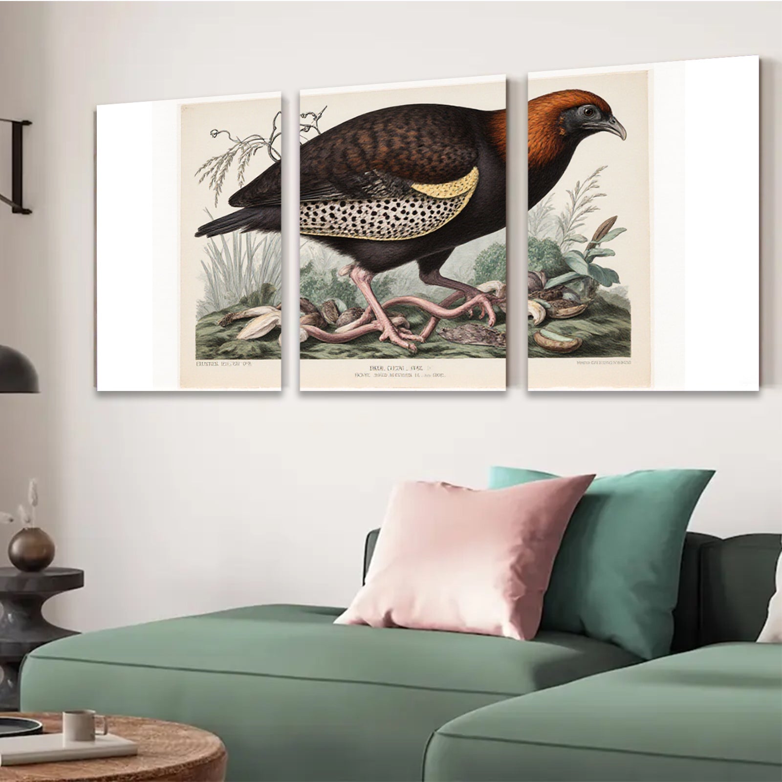 2D flat 1pc vibrant antique bird botanical wall art print farmhouse gallery wrapped canvas modern home decor living room bedroom