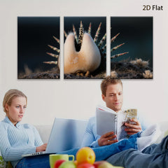 2D flat 1pc vibrant desert bloom prickly pear cactus botanical wall art modern farmhouse living room decor gallery wrapped canvas prints cozy rustic chic