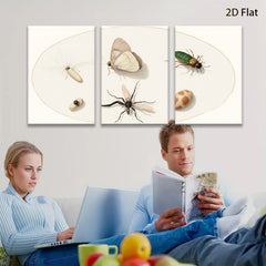2D flat 1pc whimsical insect study botanical wall decor farmhouse living room gallery wrapped canvas print modern art