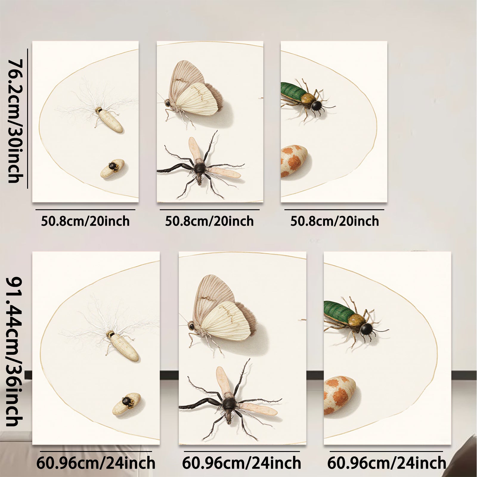 2D flat 1pc whimsical insect study botanical wall decor farmhouse living room gallery wrapped canvas print modern art