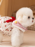 Side profile of a white Bichon Frise dog wearing a white pet garment with red and white striped trim and a teddy bear print.