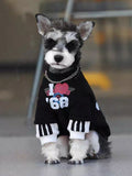 Mini schnauzer dog wearing a black graphic print pullover with white contrasting cuffs.