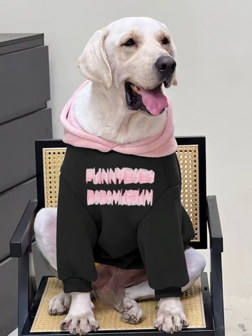 Labrador Retriever dog wearing a black hooded sweatshirt with pink text on the back, sitting on a chair.