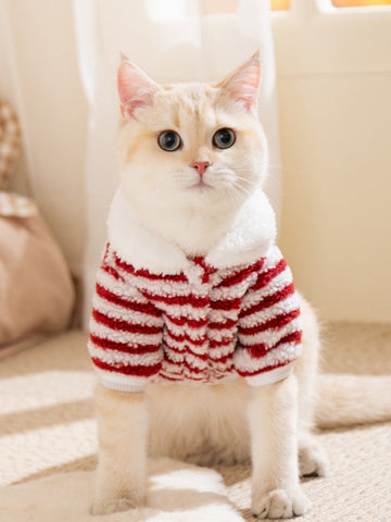 Cat wearing a red and white striped fleece pet jacket with a white collar.