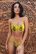 Leopard Print Bikini Set (Multicolor) - Dress In Beauty