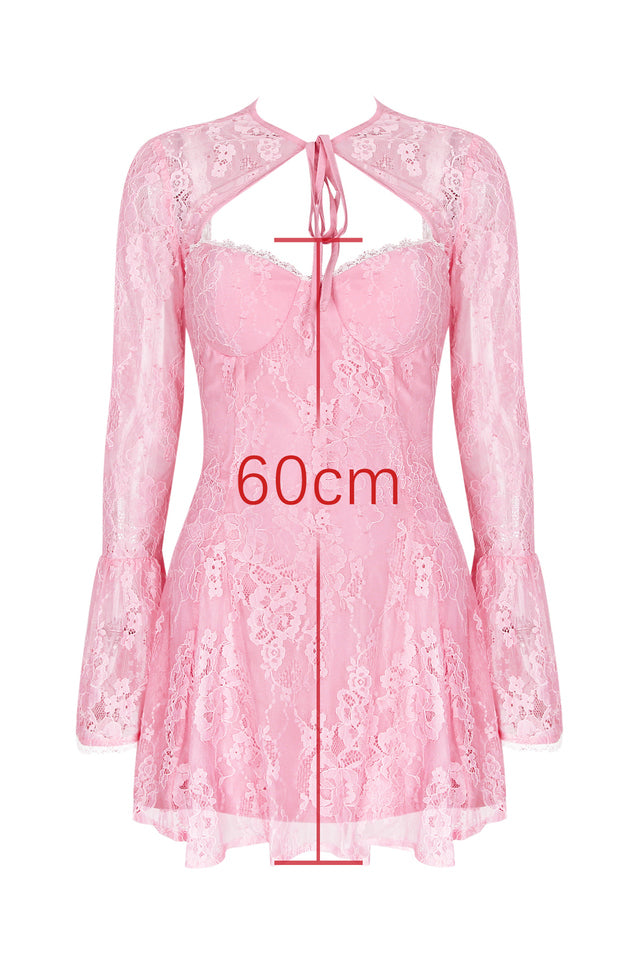 Alice Pink Lace Mini Dress | Dress In Beauty