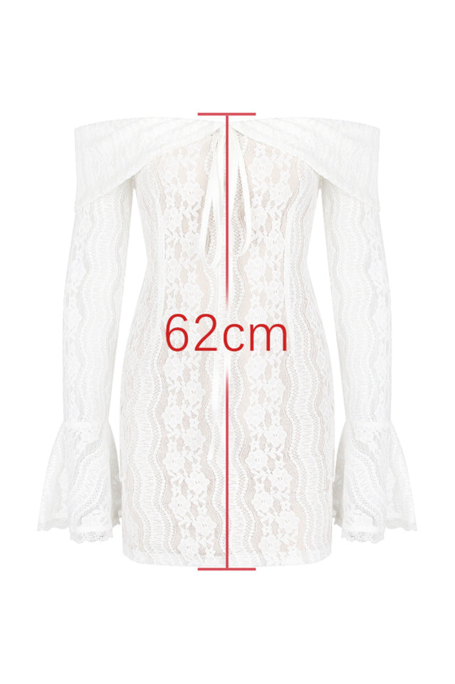 Parisian Vintage Cream Lace Mini Dress | Dress In Beauty