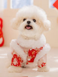 Front view of a small white dog wearing a light pink and red embroidered coat with white faux fur trim and a stand collar.