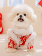 Front view of a small white dog wearing a light pink and red embroidered coat with white faux fur trim and a stand collar.