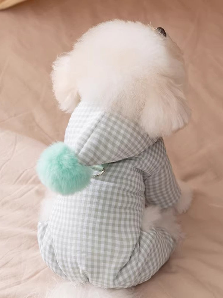 Rear view of a Bichon Frise dog wearing a light green gingham hooded dog suit with a light green pom-pom accent.