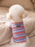 Rear view of a Bichon Frise dog wearing a blue and red striped knit sweater with a cream collar and an embroidered logo tag.
