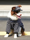 Dog sitting outdoors wearing a black and white striped sweater and hat.