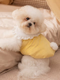 Small white fluffy dog wearing a yellow pet vest with a white ruffled collar
