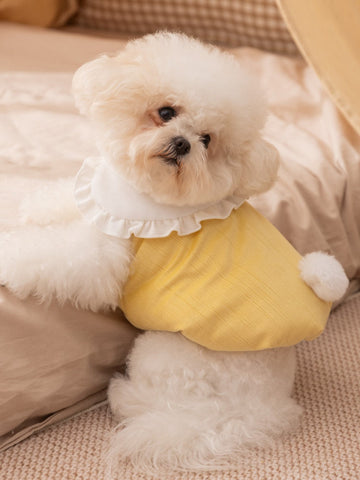 Small white fluffy dog wearing a yellow pet vest with a white ruffled collar