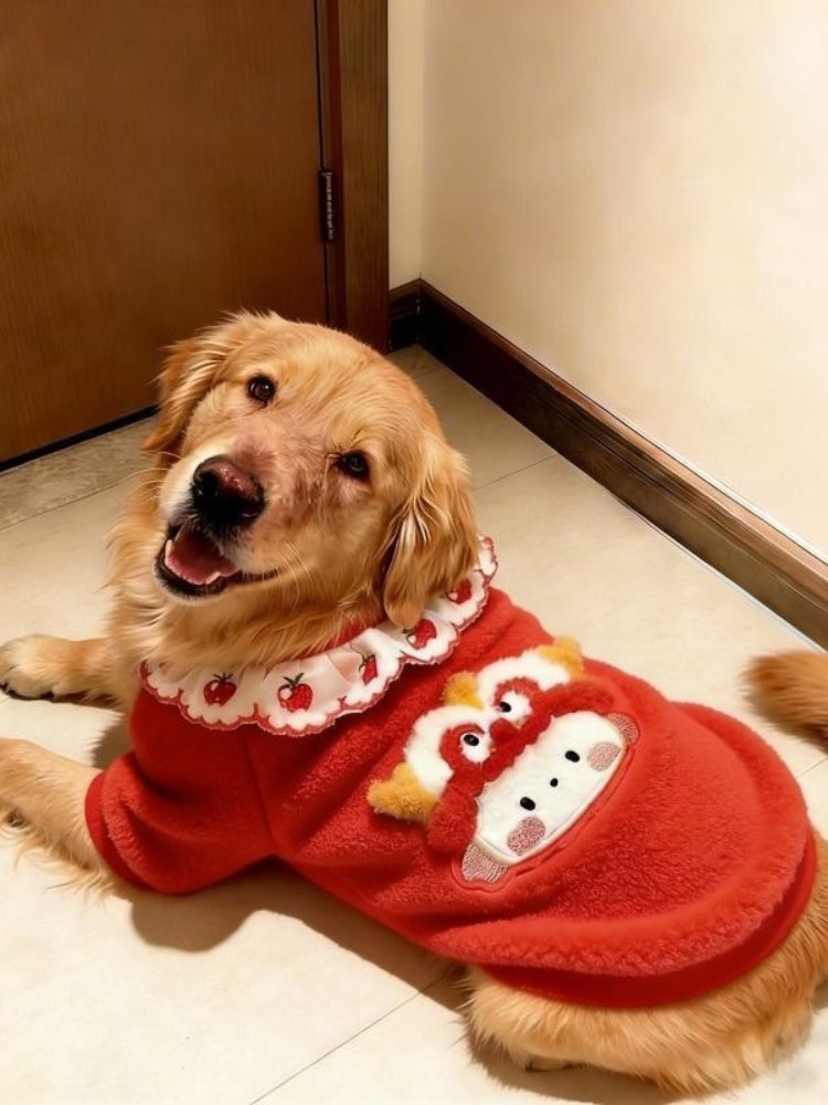 Golden Retriever dog wearing a red fleece dog sweater with a white ruffled collar and embroidered strawberry pattern, lying down and looking at the camera