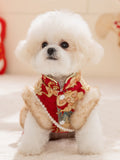 Small white dog wearing a red and gold brocade pet vest with faux fur trim and pearl embellishments.