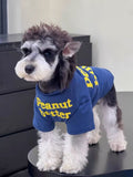 A small dog stands on a surface, wearing a blue t-shirt with yellow text.