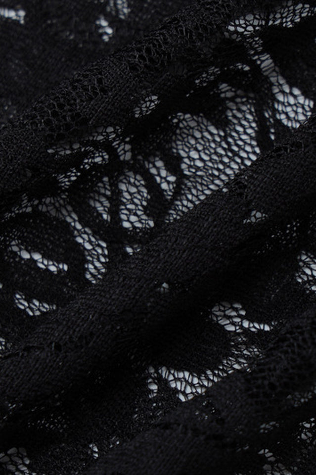 See Through Lace Mini Dress | Dress In Beauty