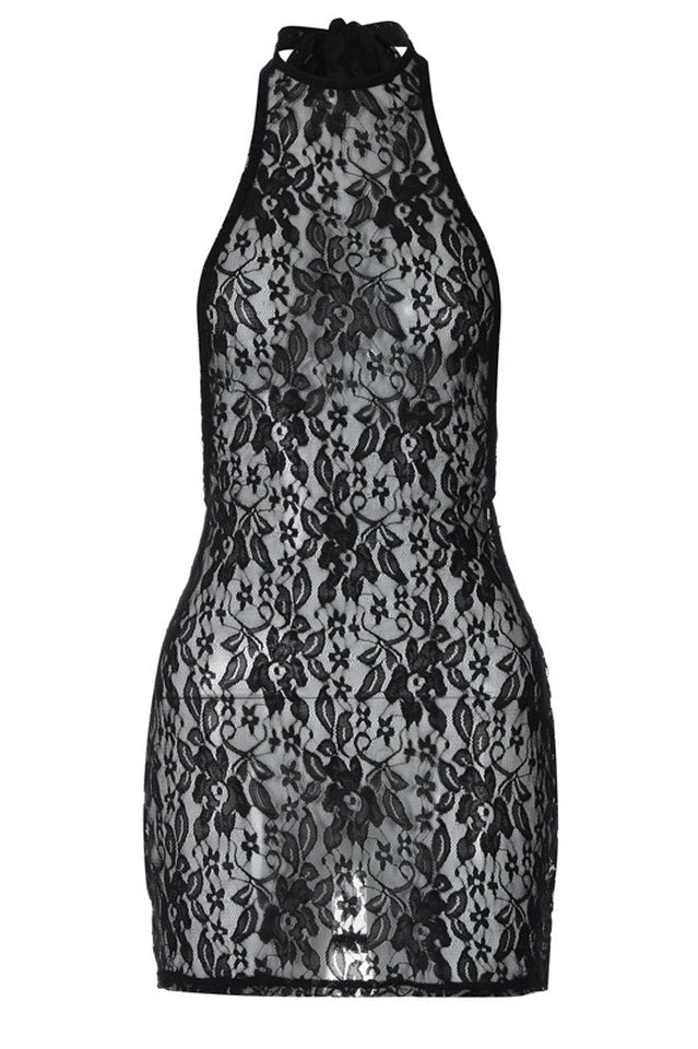 See Through Lace Mini Dress | Dress In Beauty